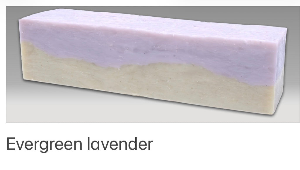 Organic Evergreen Lavender