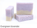 Organic Evergreen Lavender